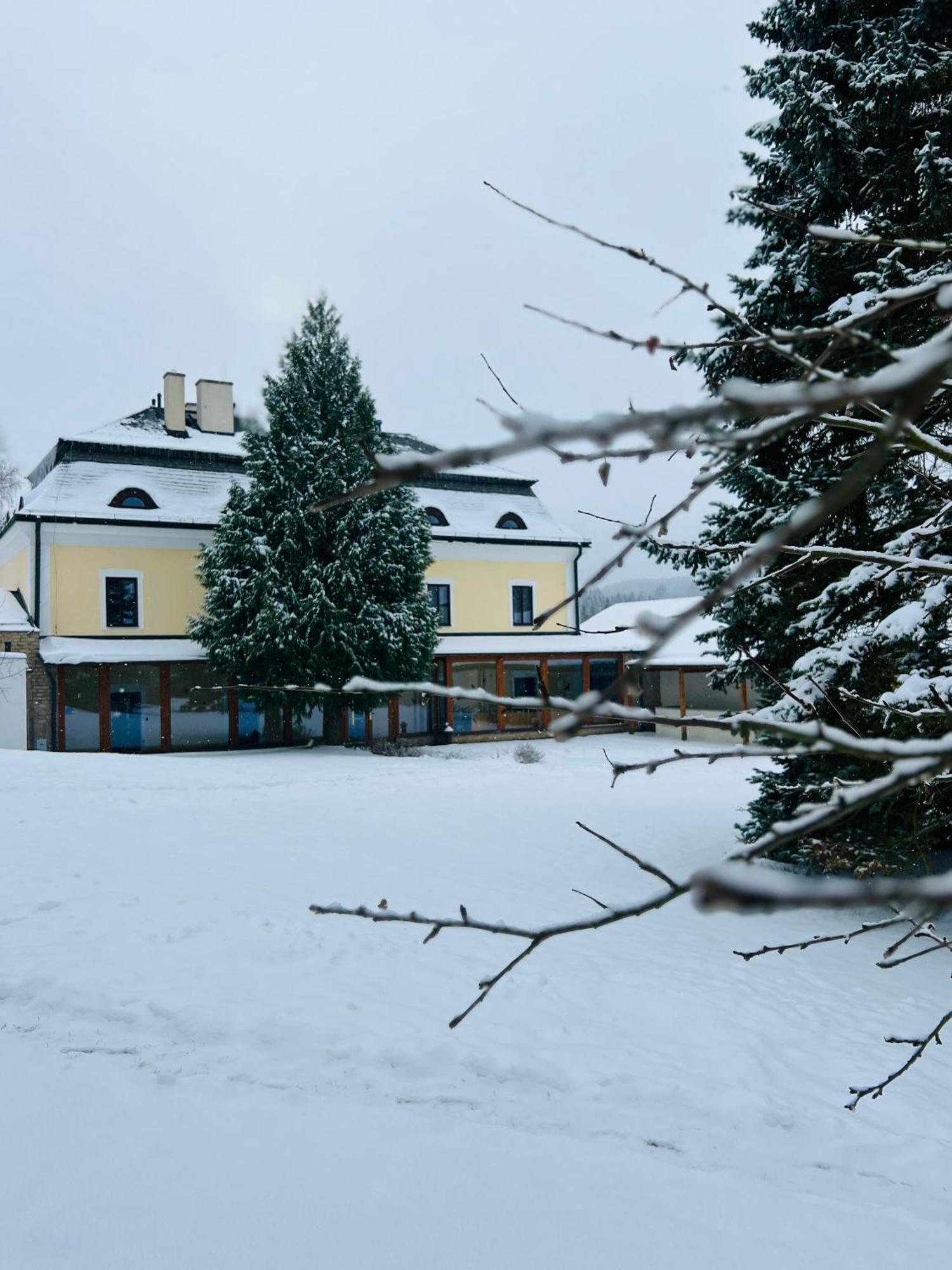 Lisensky Dvur Hotell Sněžné Eksteriør bilde